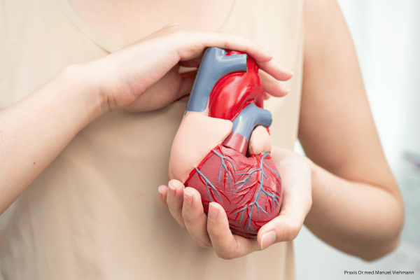 Mann hhält Kunsterzmodell vor der Brust